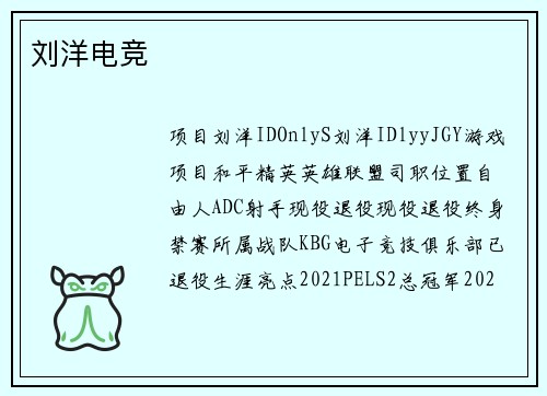 刘洋电竞